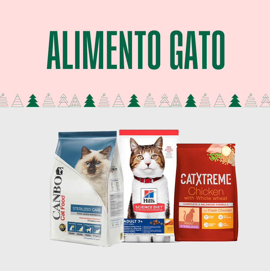 Alimento gato