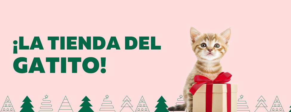 Todo para hacer feliz a tu gatito