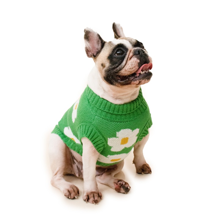 Chompa hilo pretty pet margaritas verde, , large image number null