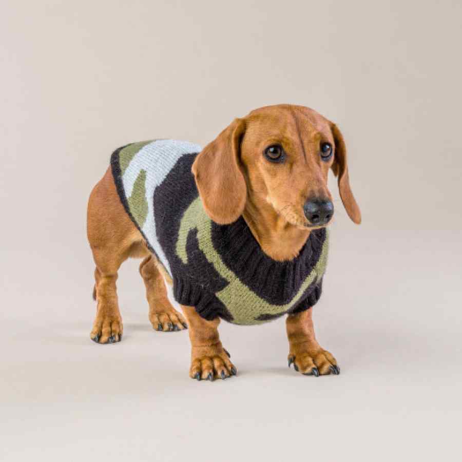 Sweater Para Perro Army Camouflage, , large image number null