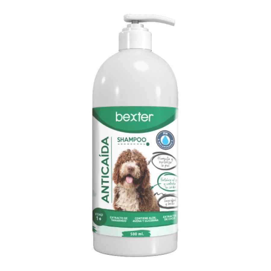 Bexter Shampoo Intensive Action Para Perros – Anticaida 500ml