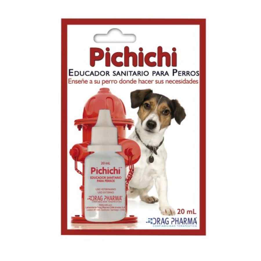 Dragpharma Pichichi (Educador Sanitario Para Perros)