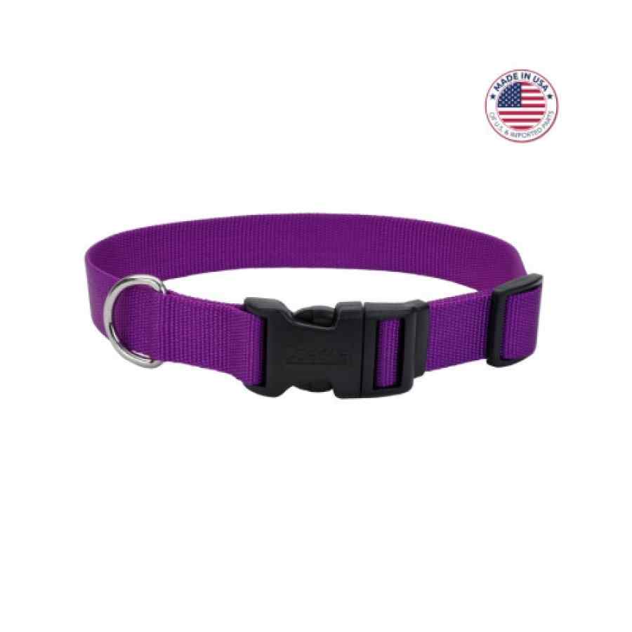 Coastal Adjustable Dog Collar With Plastic Buckle, Purple, , large image number null