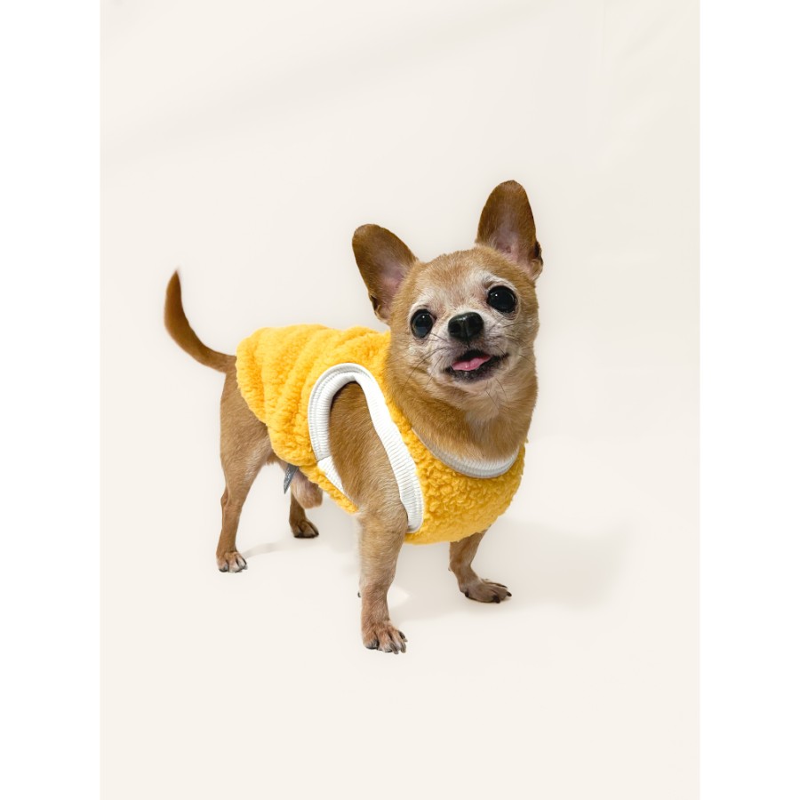 Lmb sweater pet, , large image number null