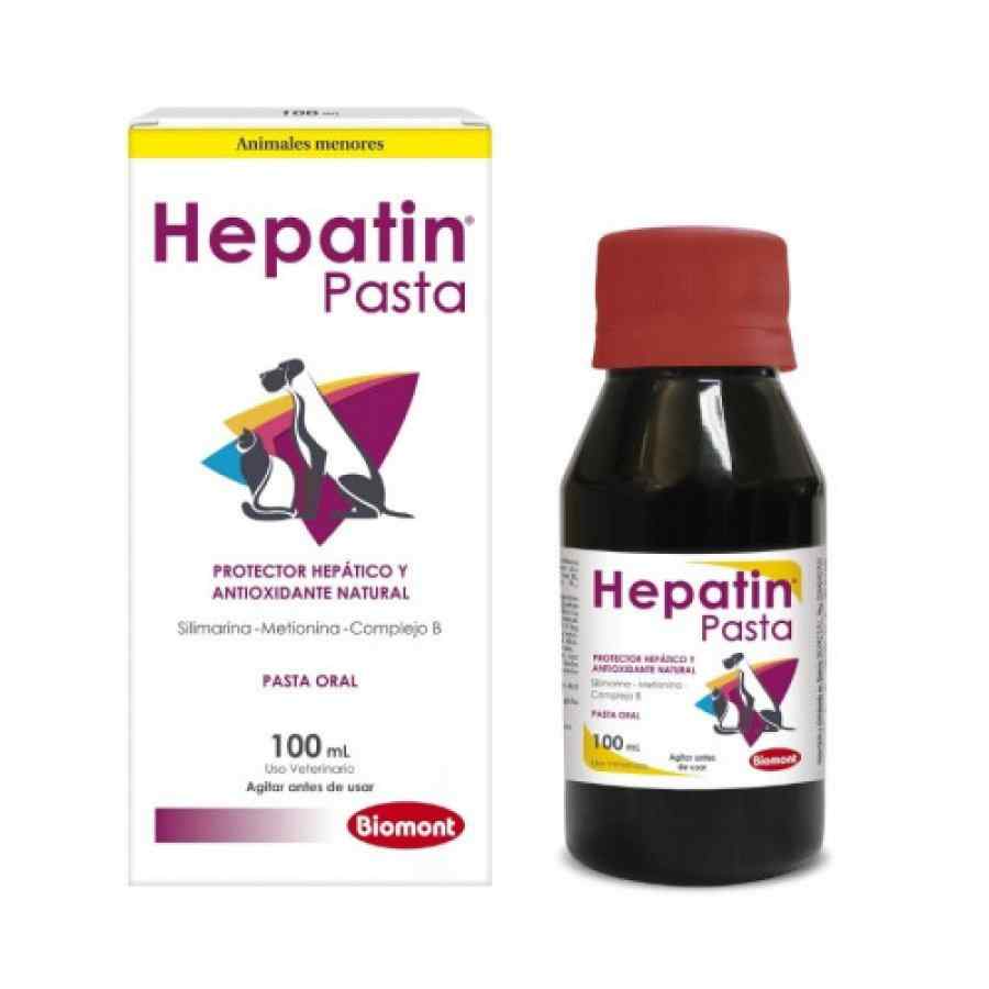 Hepatin Pasta Oral X 100ml, , large image number null