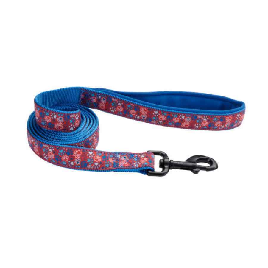 Coastal Ribbon Weave Leash, Red And Blue Paws, , large image number null