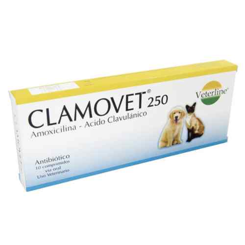 Clamovet 250mg/ Amoxicilina Antibiotico 10 comprimidos, , large image number null