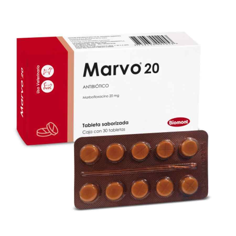 Marvo 20 (Marbofloxacina) Venta: Blister 10 TAB, , large image number null