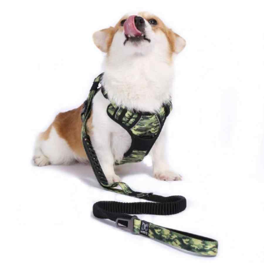 Hiking harness camuflado l, , large image number null