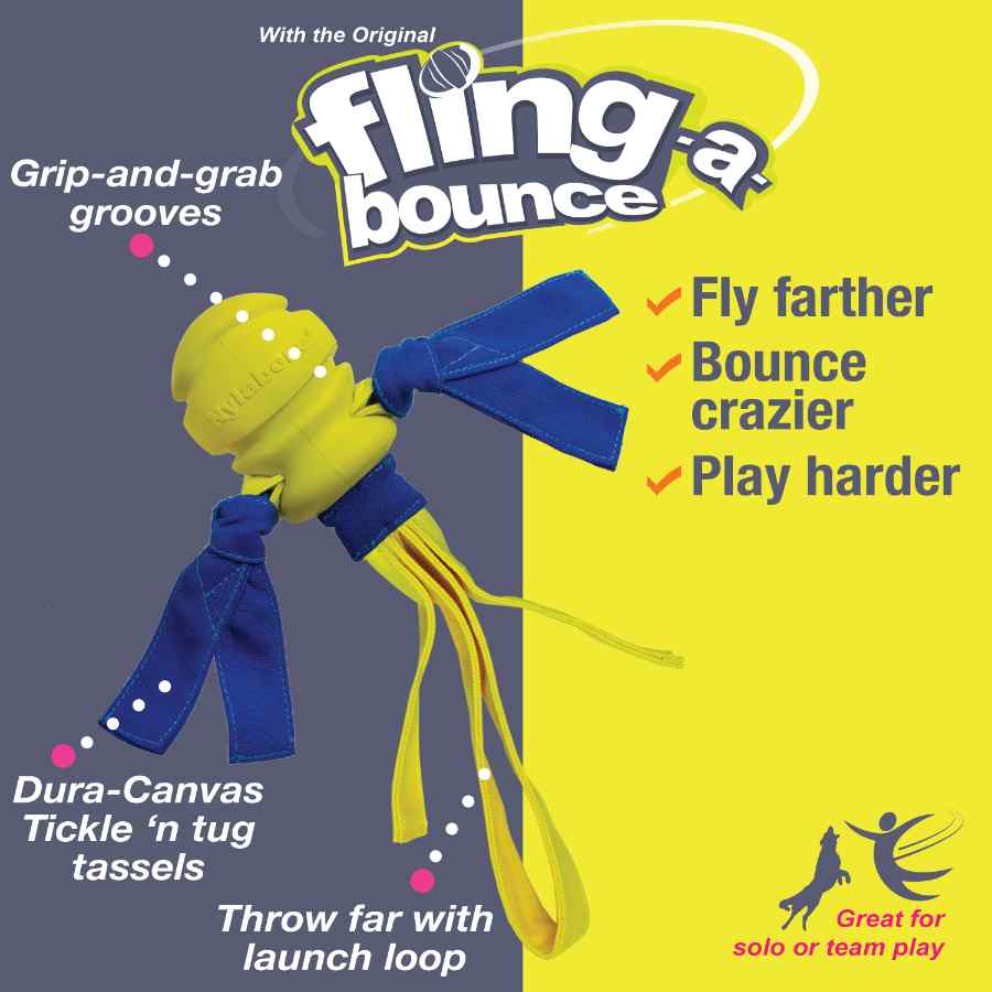 Nylabone Power Play Fling A Bounce, , large image number null