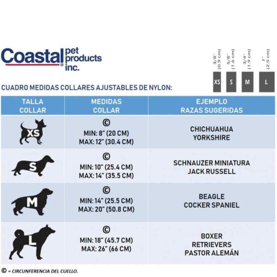 Coastal Collar Pet Attire Styles Medium 3/4" X 20" Bolitas Rosadas, , large image number null