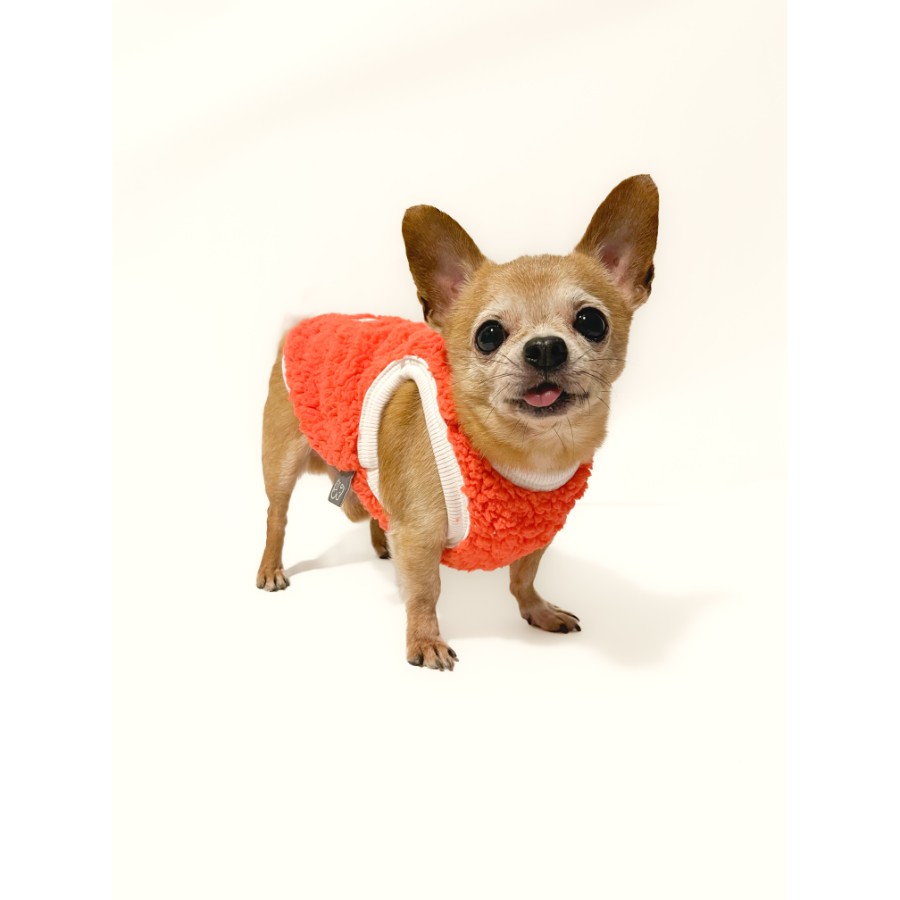 Lmb sweater pet, , large image number null