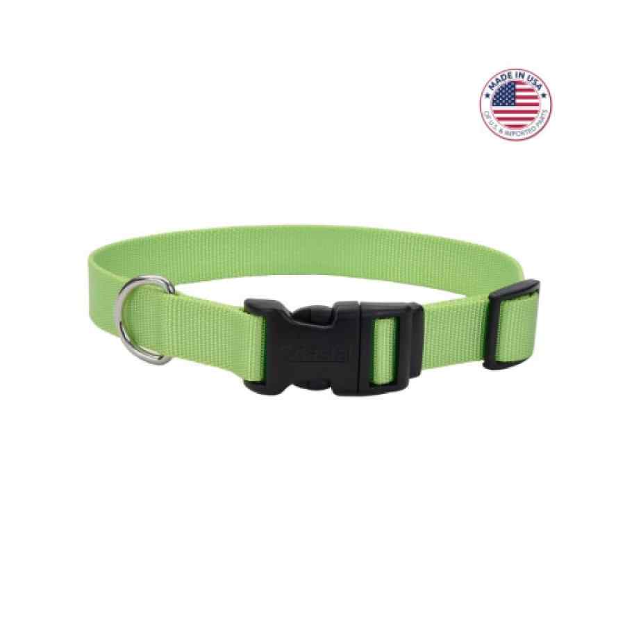 Coastal Adjustable Dog Collar With Plastic Buckle, Lime, Large 1" X 18" 26", , large image number null