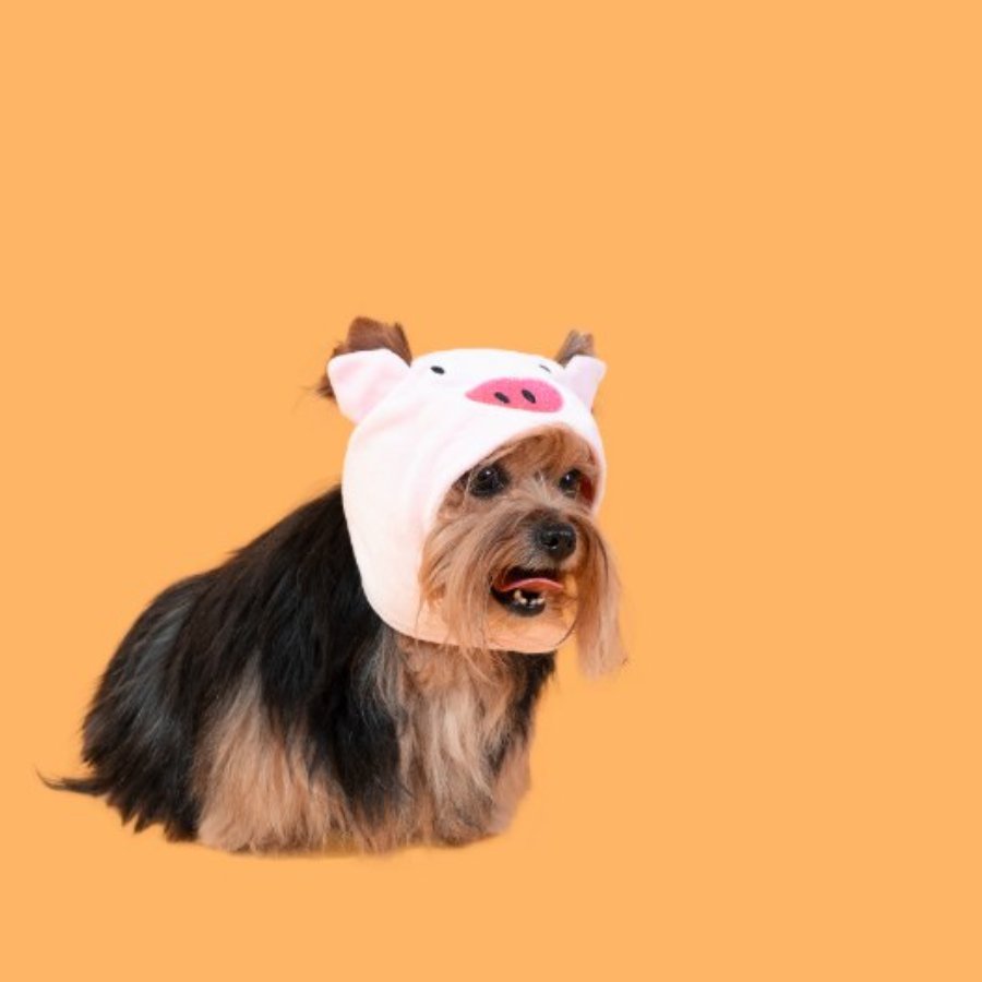 Lmb Gorro Pig, , large image number null