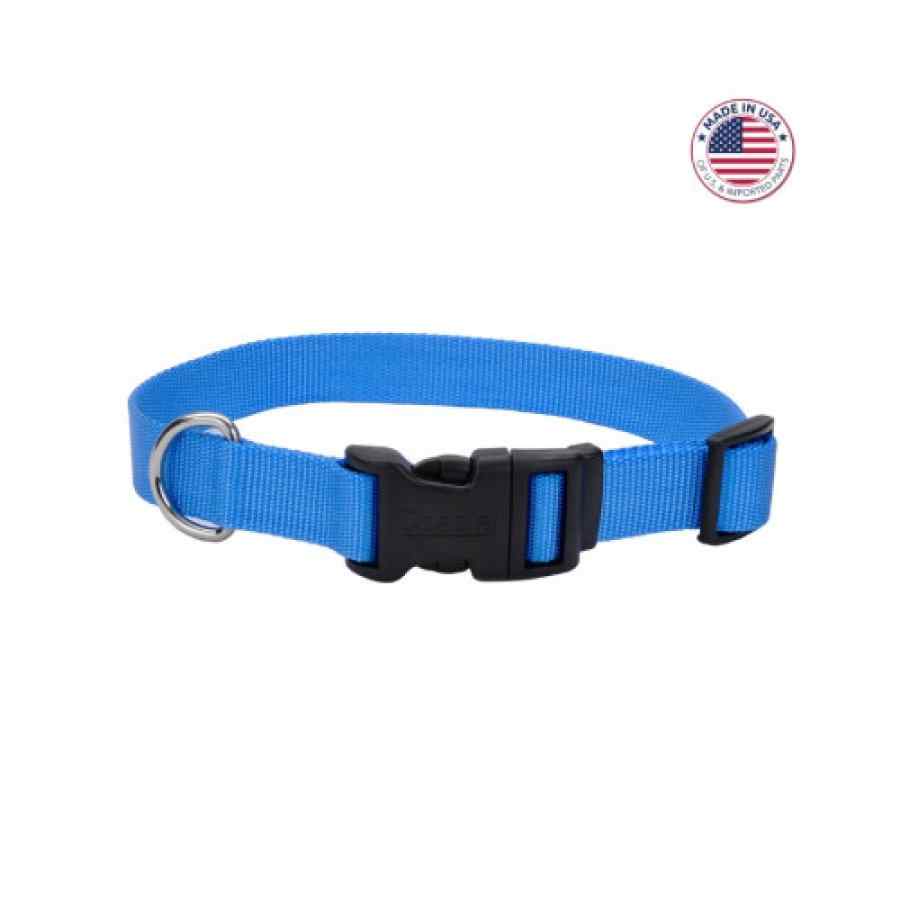 Coastal Adjustable Dog Collar With Plastic Buckle, Blue Lagoon, Large 1" X 18" 26", , large image number null