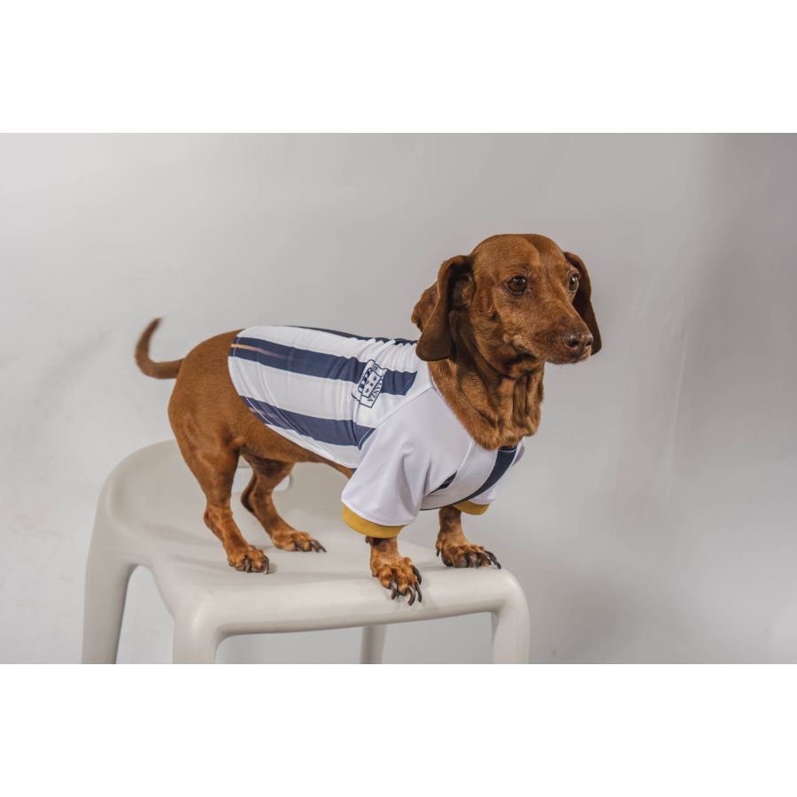 Camiseta oficial alianza lima, , large image number null