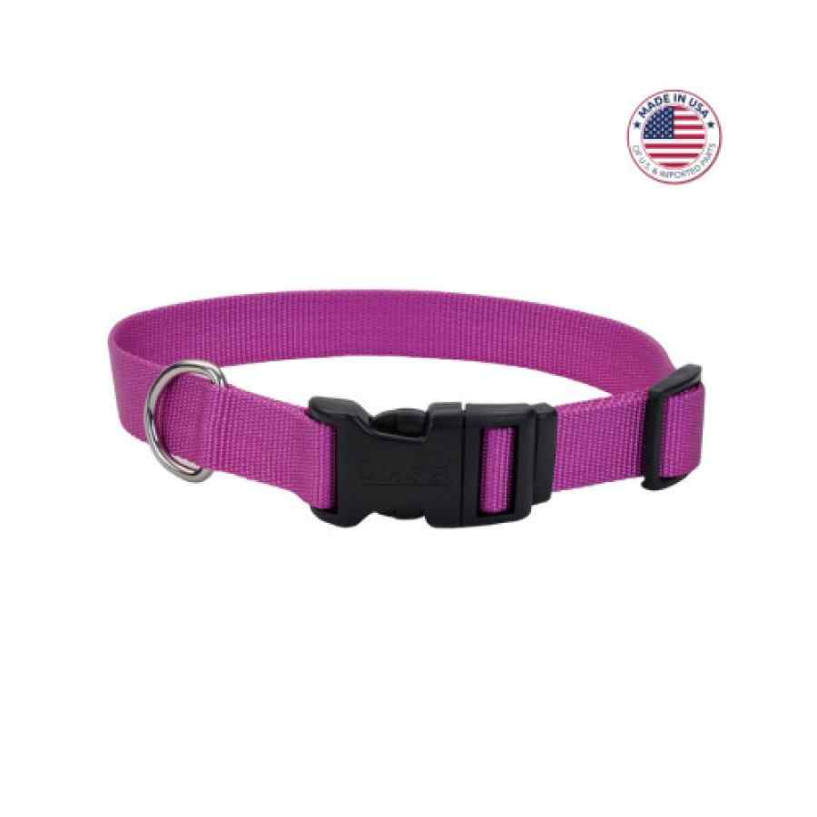 Coastal Adjustable Dog Collar With Plastic Buckle, Orchid, Large 1" X 18" 26", , large image number null