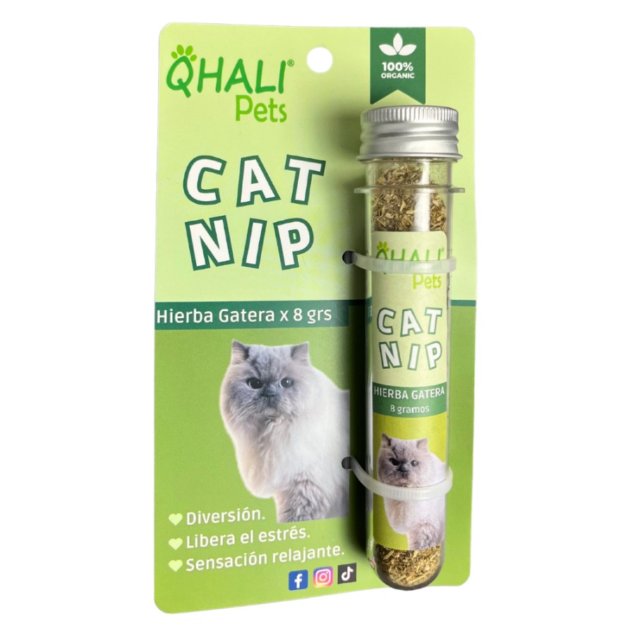 Catnip qhali pets x tubo 8 grs.