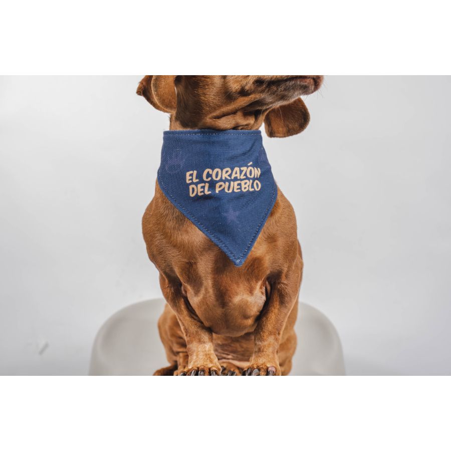 Bandana reversible oficial alianza lima, , large image number null