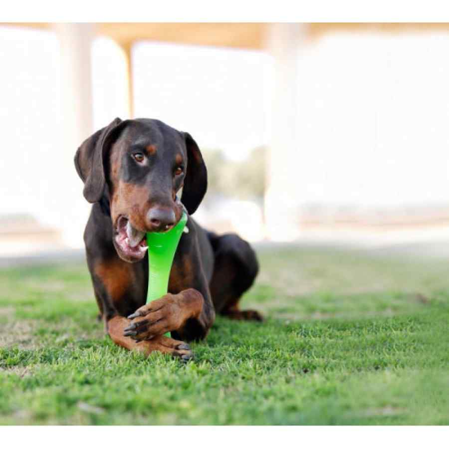Petstages Bionic Opaque Stick Grn MD, , large image number null