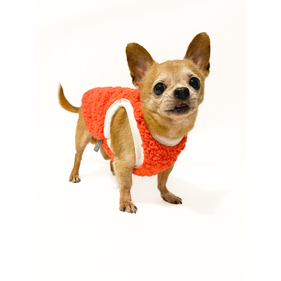 Lmb sweater pet, , large image number null