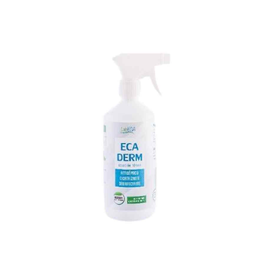 Antibacterial Ecaderm 1 Spray x 500 ml, , large image number null