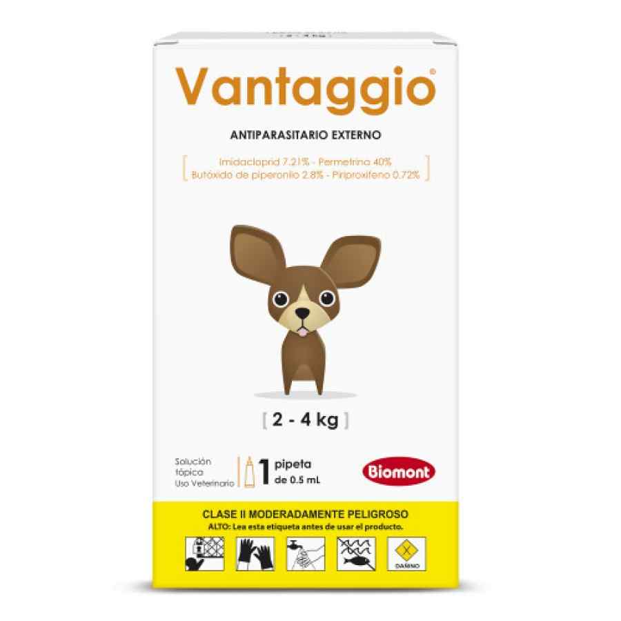 Vantaggio X 0.50 Ml (2kg a 4kg)