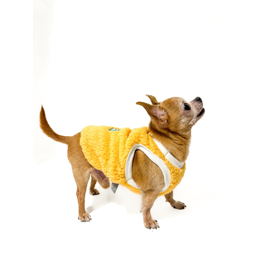 Lmb sweater pet, , large image number null