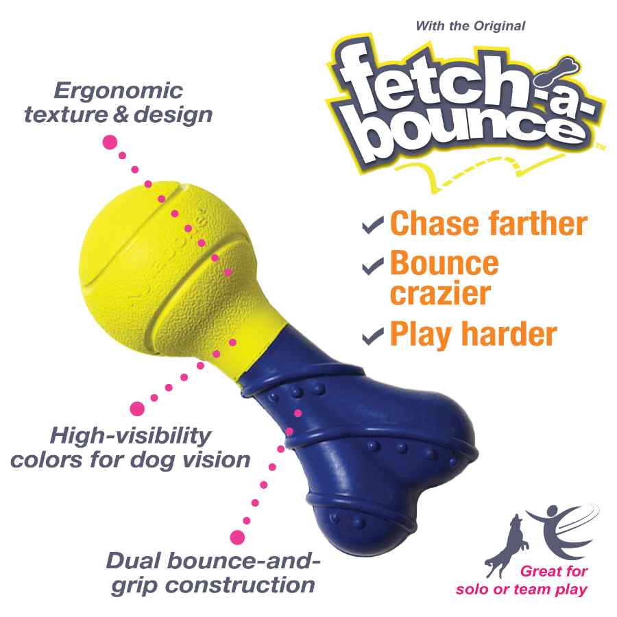 Nylabone Power Play Fetch A Bounce, , large image number null