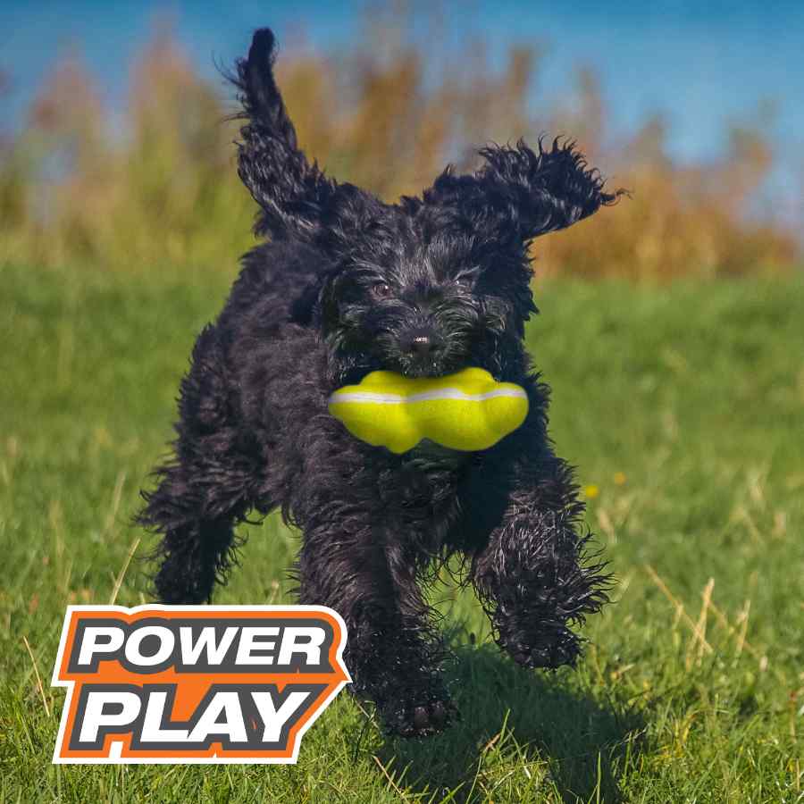 Nylabone Power Play Tennis Oso Teddy, , large image number null