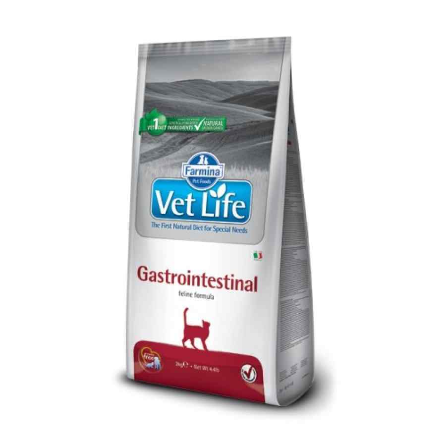 VetLife Gastro Intestinal 2 Kg, , large image number null