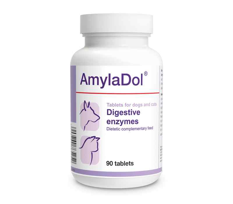 Amyladol (Enzimas Digestivas Naturales: Amilasas, Proteasas Y Lipasas)x90Tab