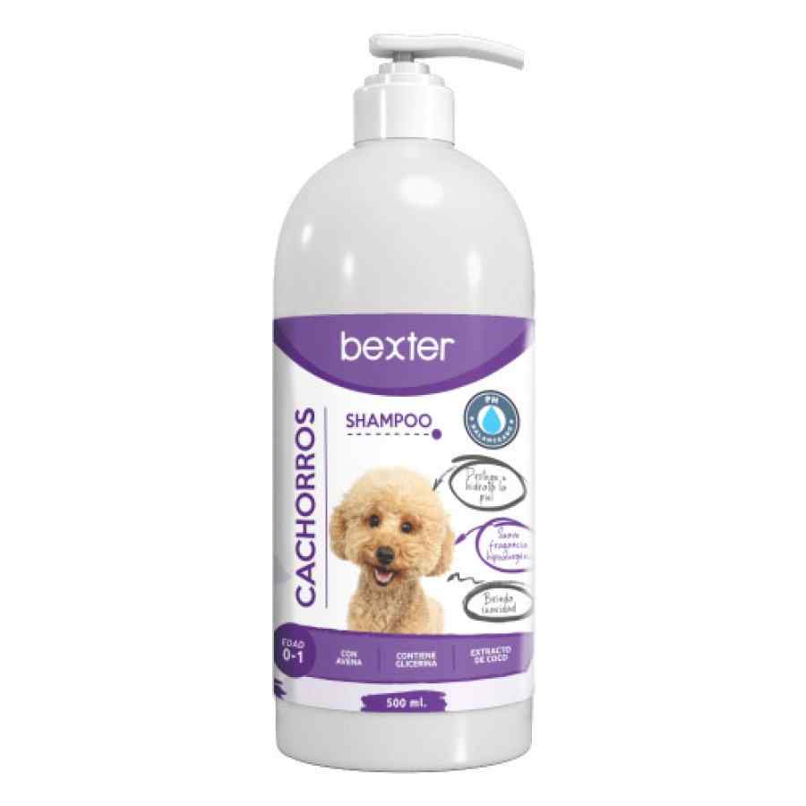 Bexter Shampoo Intensive Action Para Perros – Cachorros 500ml