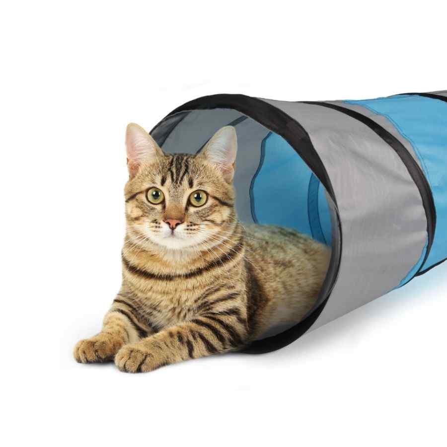 Tunel Para Gato Linz 50cm, , large image number null